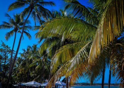Cabarete beach 5