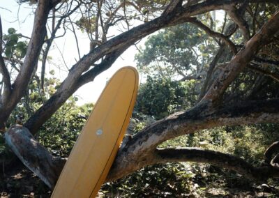 Surfbeach Encuentro 2